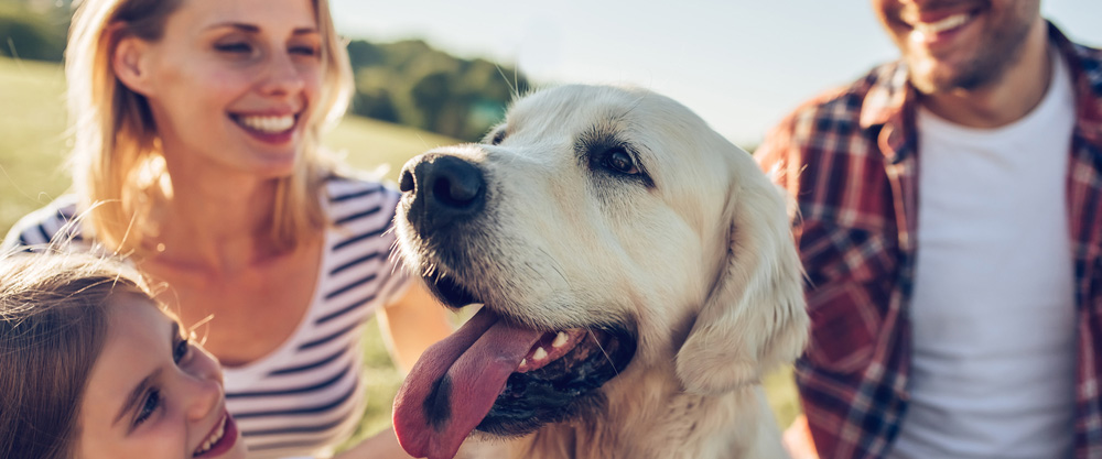 Gli animali domestici sono i nostri migliori amici